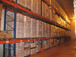 Entrepôt réfrigéré pour stockage de produits surgelés à Marseille