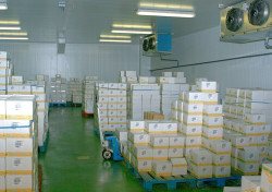 Stockage réfrigéré de produits alimentaire avant exportation à l'international à Aix-en-Provence